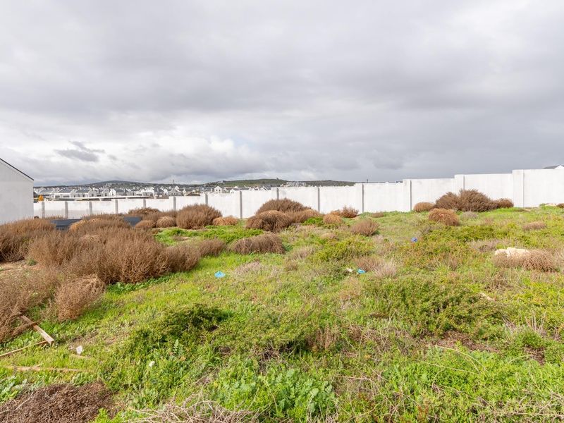 Plot and Plan Opportunity in Laguna Dunes – Excellent Investment - Photo 7