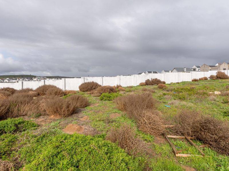 Plot and Plan Opportunity in Laguna Dunes – Excellent Investment - Photo 6