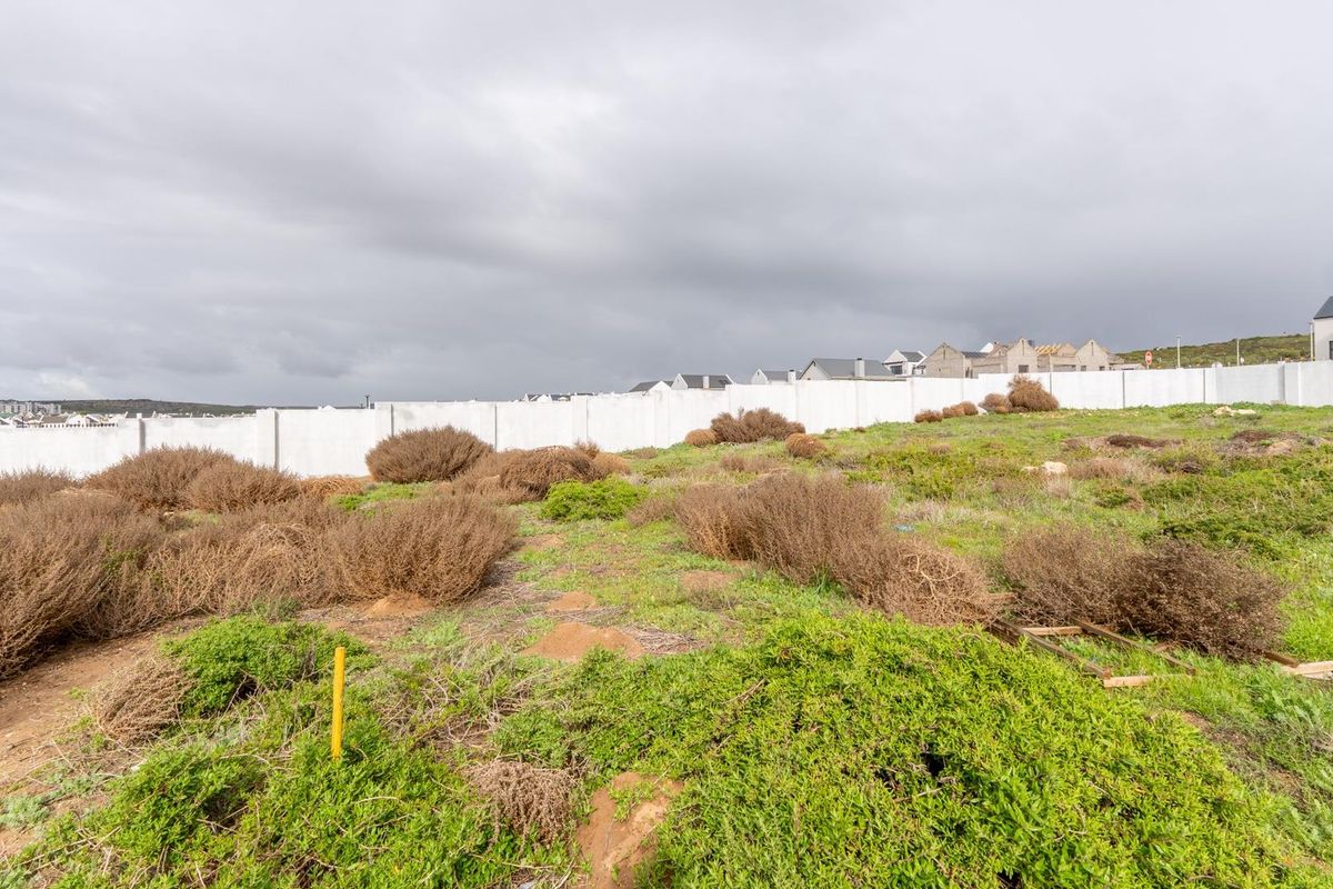 Plot and Plan Opportunity in Laguna Dunes – Excellent Investment - Photo 5