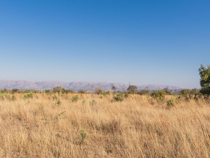 975Ha Cattle Farm For Sale Near Polokwane - Photo 4