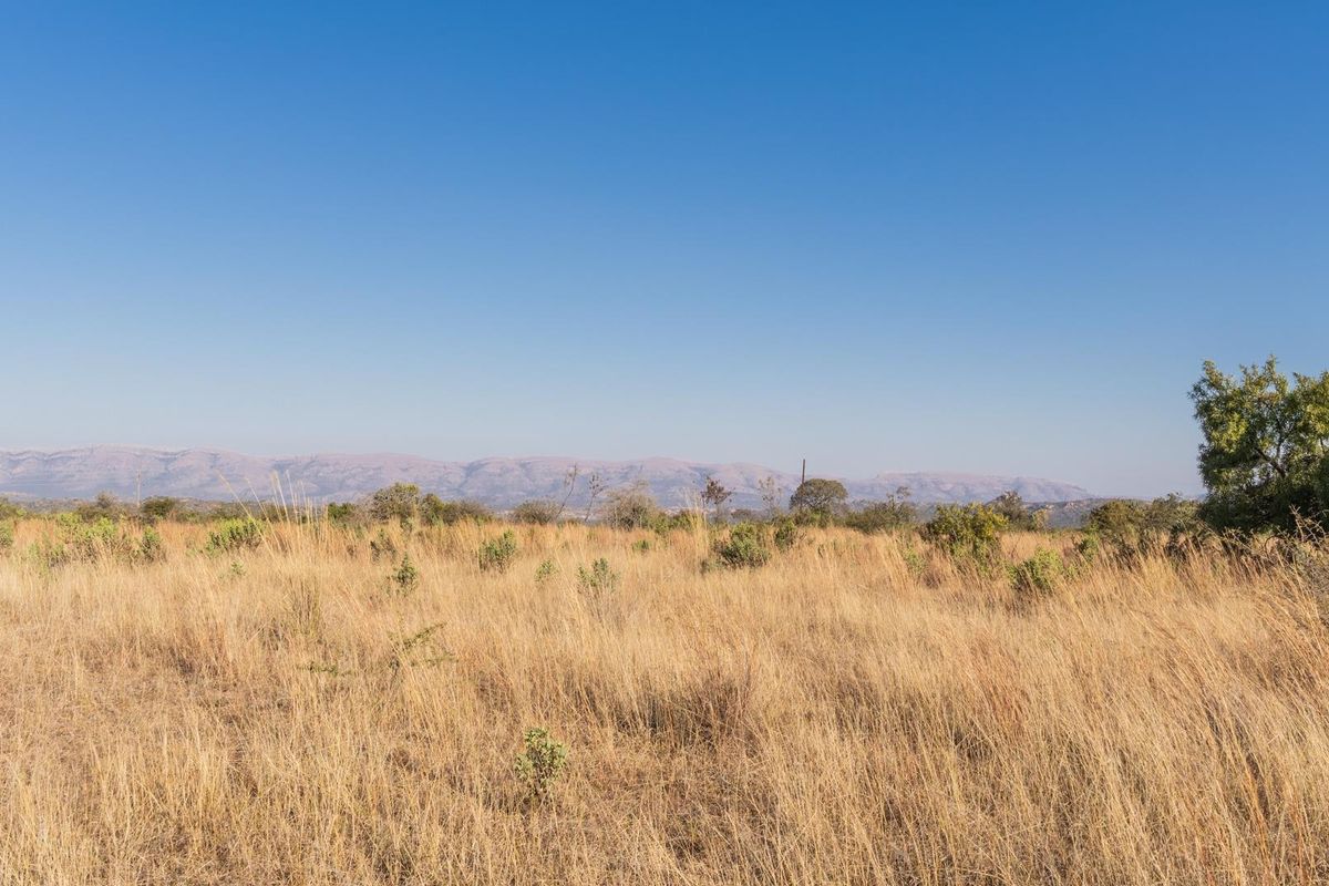 975Ha Cattle Farm For Sale Near Polokwane - Photo 4