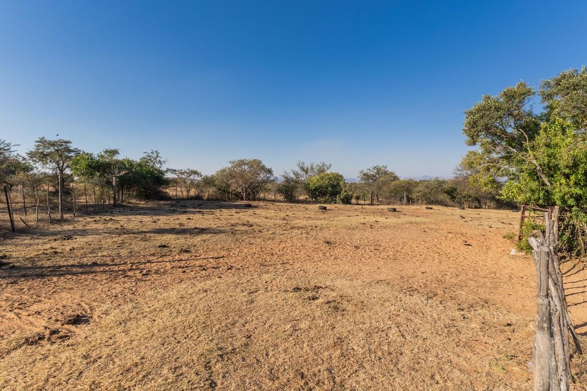 975Ha Cattle Farm For Sale Near Polokwane - Photo 2