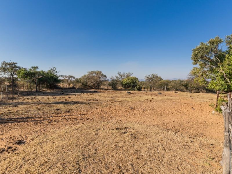 975Ha Cattle Farm For Sale Near Polokwane - Photo 2