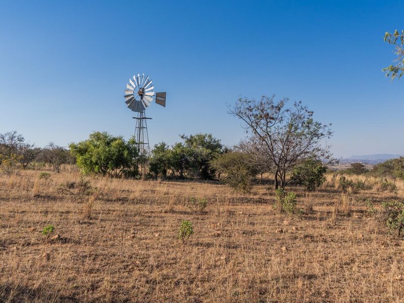 975Ha Cattle Farm For Sale Near Polokwane - Photo 10