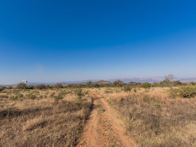 975Ha Cattle Farm For Sale Near Polokwane - Photo 9