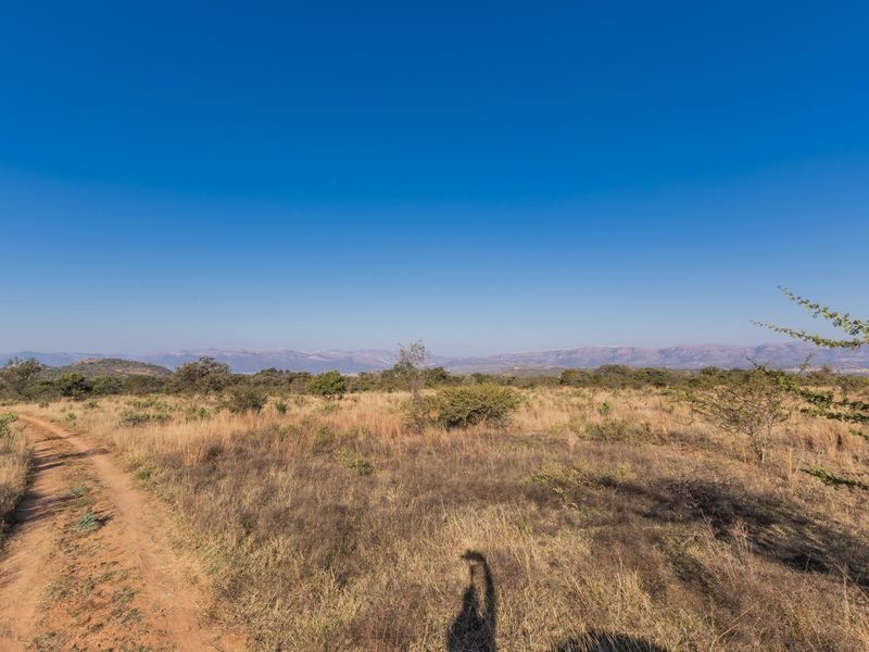 975Ha Cattle Farm For Sale Near Polokwane - Photo 8