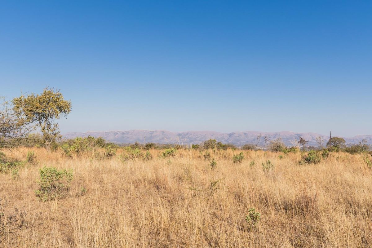 975Ha Cattle Farm For Sale Near Polokwane - Photo 5