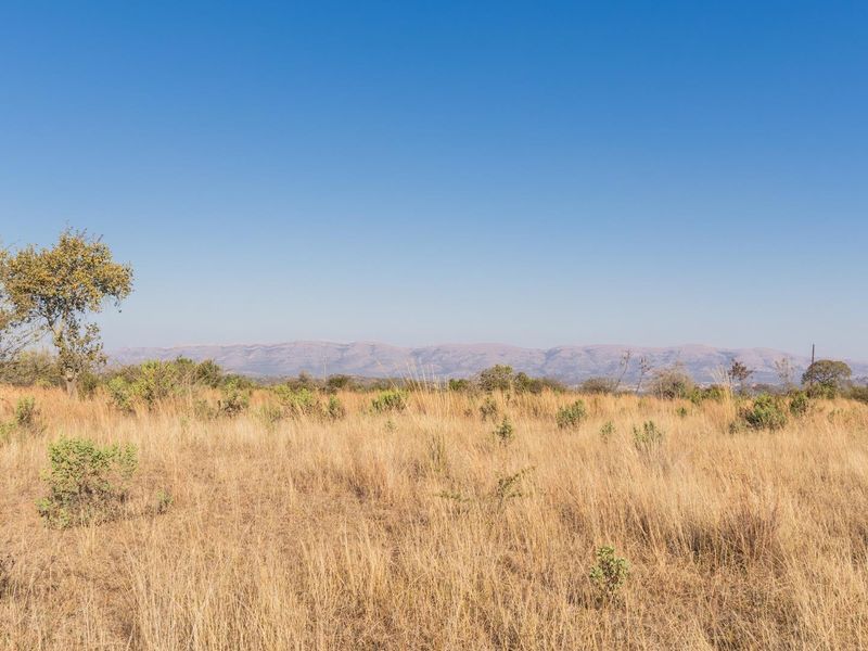 975Ha Cattle Farm For Sale Near Polokwane - Photo 5