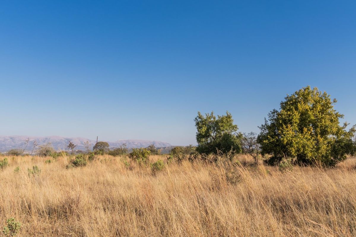 975Ha Cattle Farm For Sale Near Polokwane - Photo 3