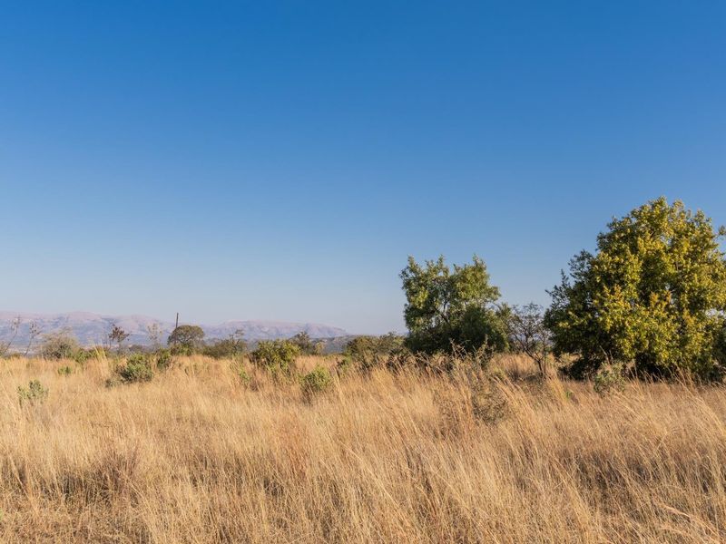 975Ha Cattle Farm For Sale Near Polokwane - Photo 3