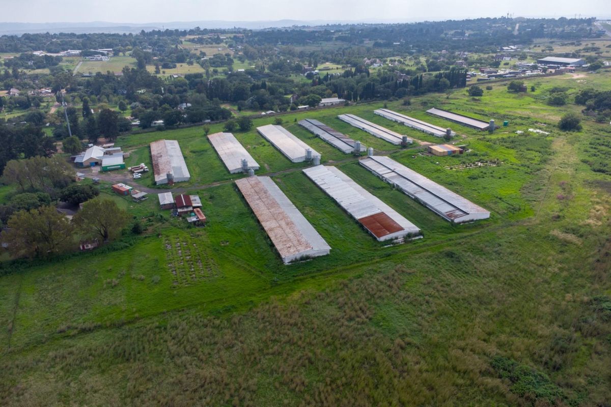 20 hectare Poultry Farm  - Photo 2