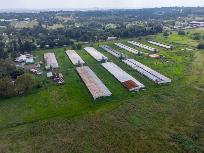 20 hectare Poultry Farm  - Photo 2