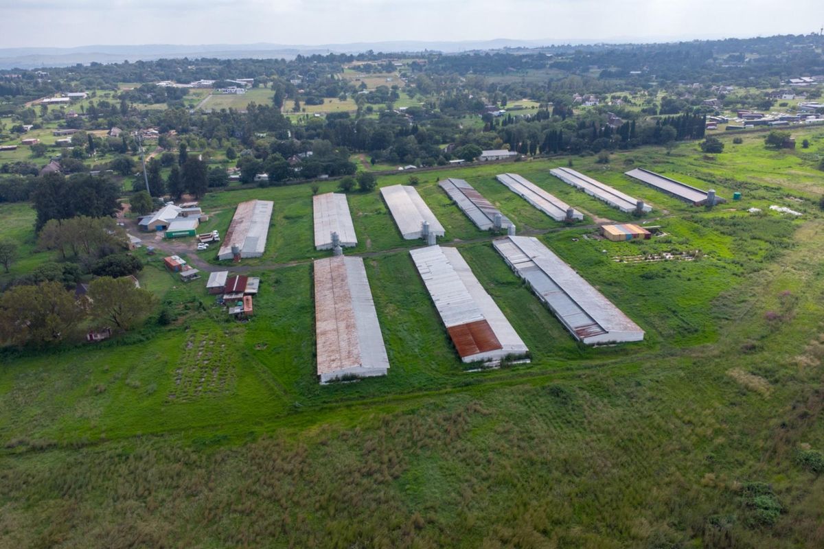 20 hectare Poultry Farm  - Photo 3