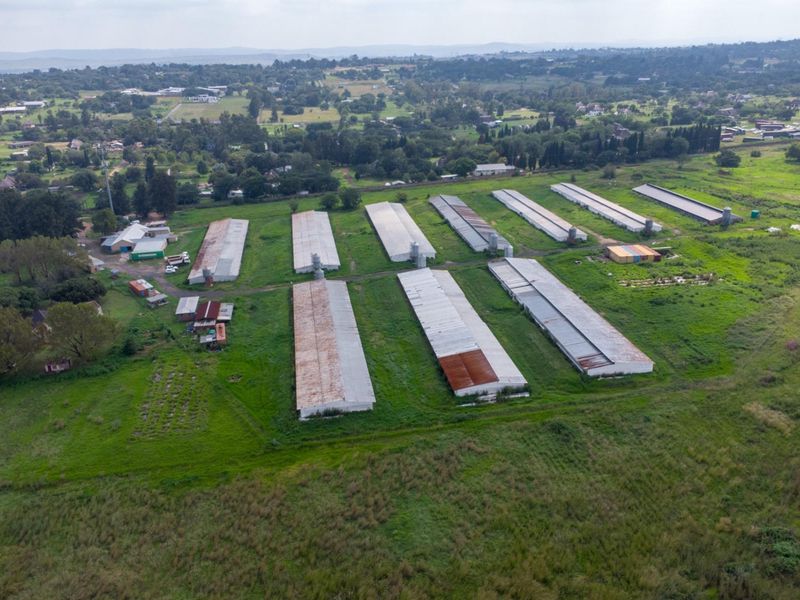 20 hectare Poultry Farm  - Photo 3