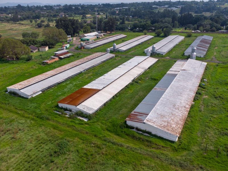 20 hectare Poultry Farm  - Photo 10