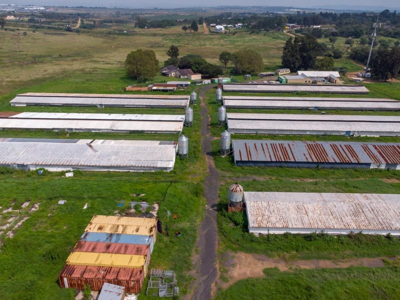 20 hectare Poultry Farm  - Photo 9