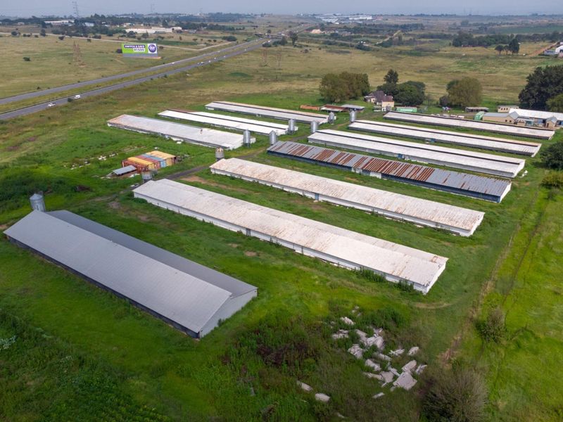 20 hectare Poultry Farm  - Photo 8