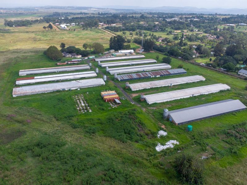 20 hectare Poultry Farm  - Photo 6