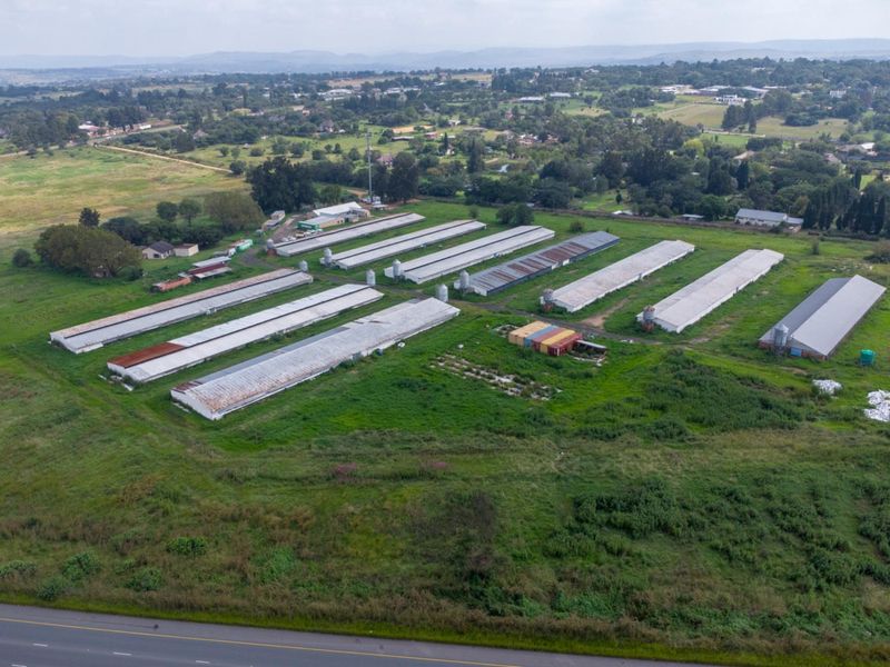 20 hectare Poultry Farm  - Photo 5