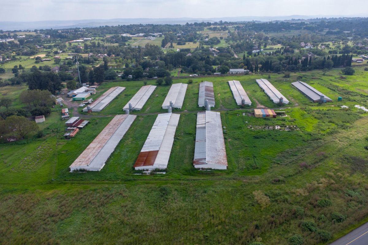 20 hectare Poultry Farm  - Photo 4