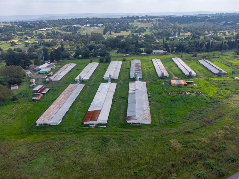 20 hectare Poultry Farm  - Photo 4
