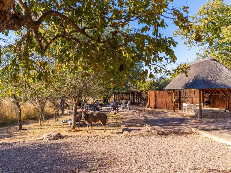 Zebula Golf Estate Luxury - Furnished Sectional Title Home for Sale - Photo 8