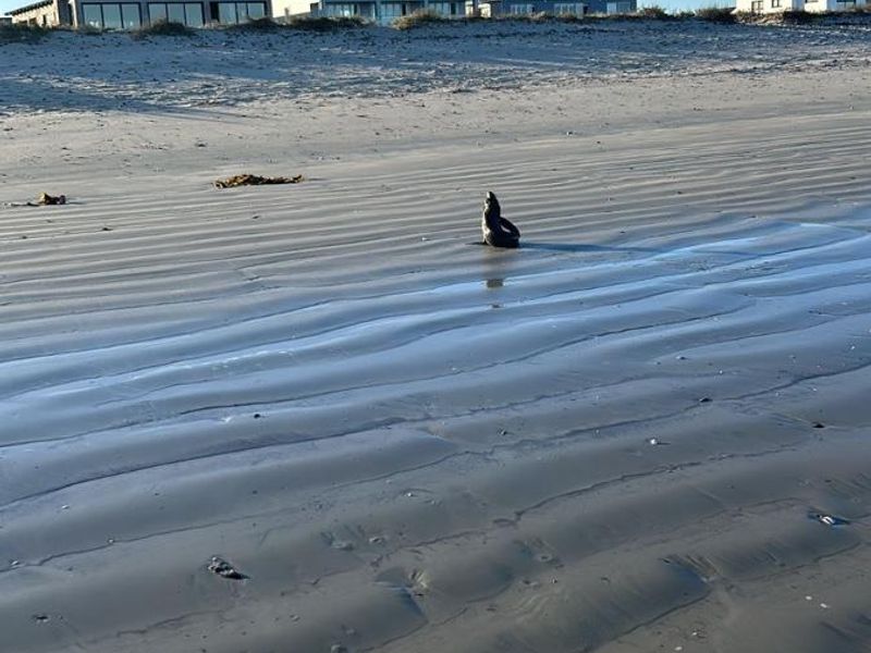 Seaside Living Starts Here - Perfect Vacant Stand Just Steps from the Beach! - Photo 8