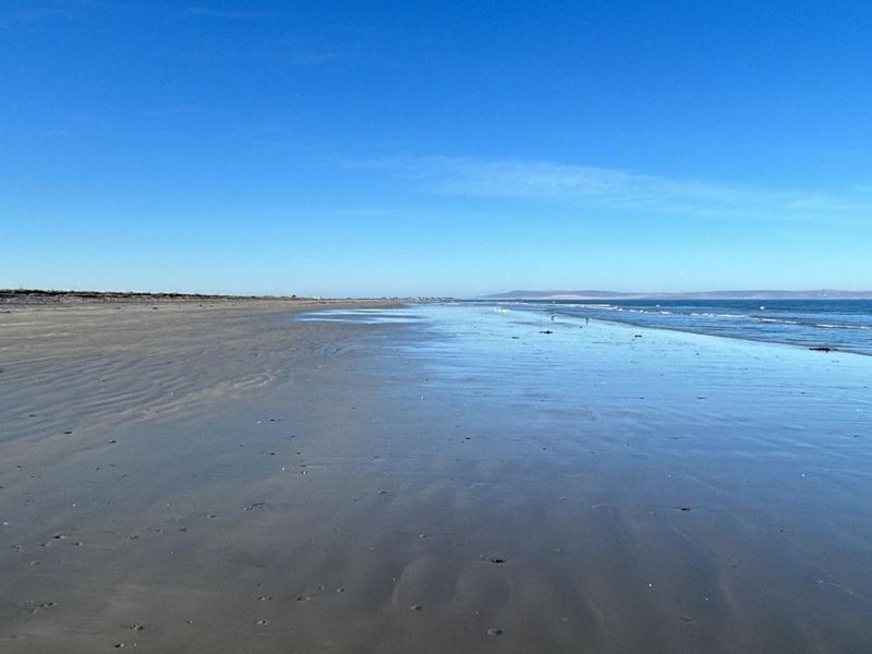 Seaside Living Starts Here - Perfect Vacant Stand Just Steps from the Beach! - Photo 7