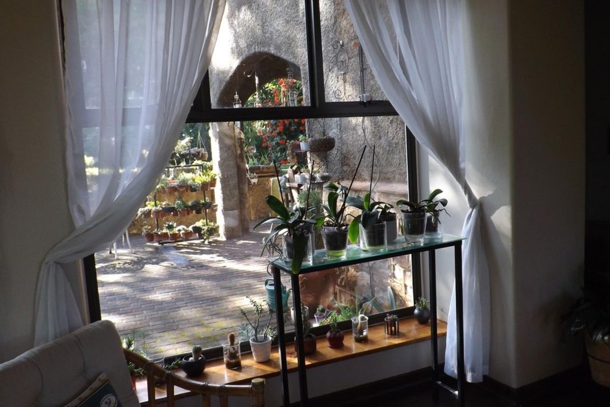 Family Home with bachelor flat - Photo 4