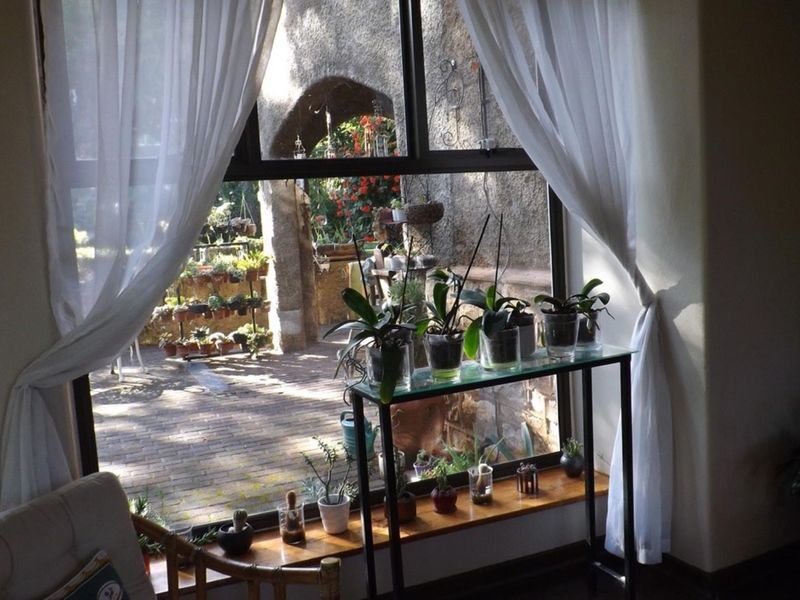 Family Home with bachelor flat - Photo 4