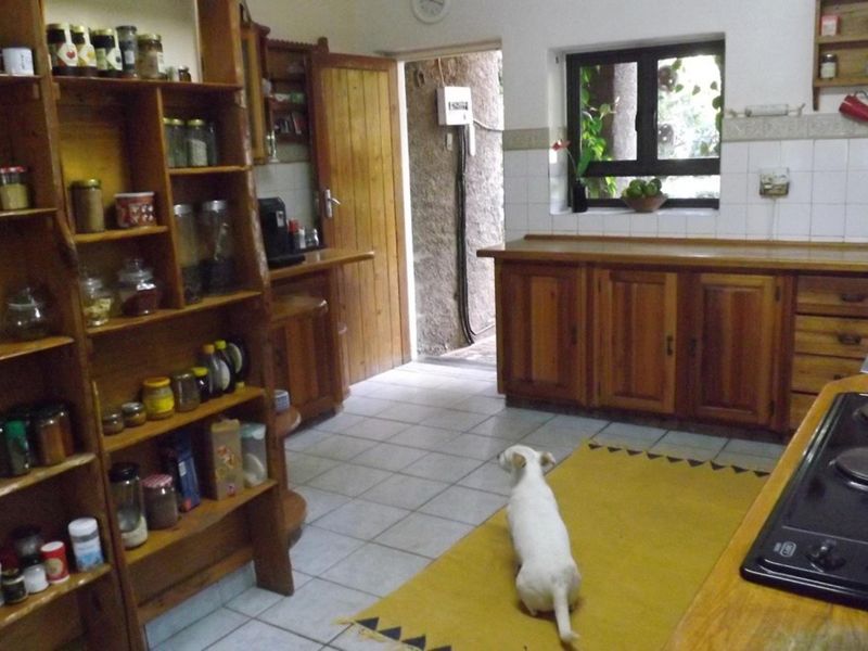 Family Home with bachelor flat - Photo 8