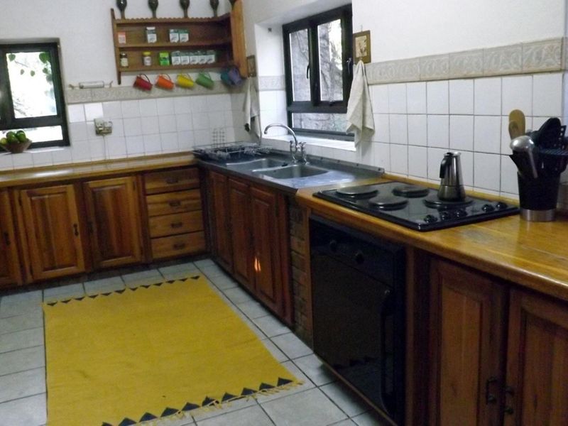 Family Home with bachelor flat - Photo 7