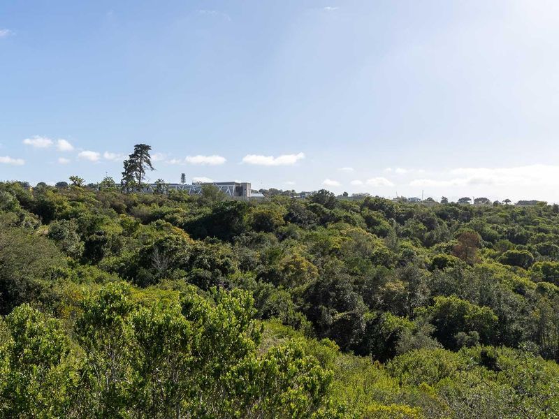 A blank canvas offering beautiful distant sea views - Photo 9