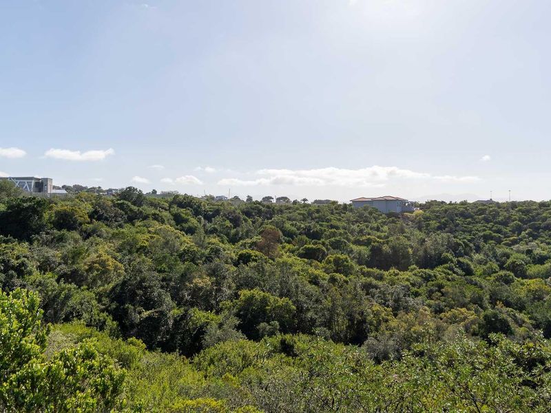 A scenic elevated view overlooking a lush, densely vegetated landscape with distant residential structures under a clear blue sky.