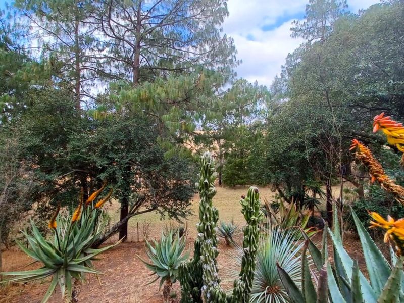 Spacious 6-bedrooms family home with  picturesque views, a perfect family home! - Photo 7