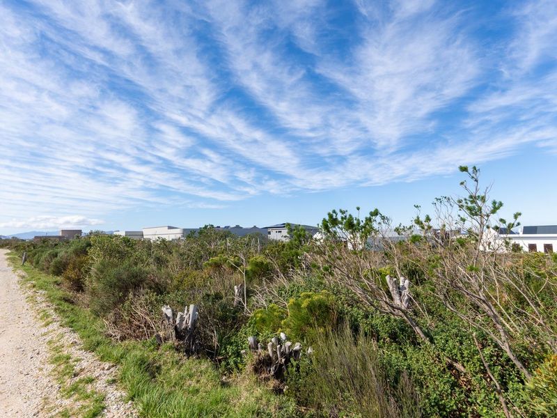 One of a few plots left and available in Sunny Seas, Betty's Bay - Photo 3