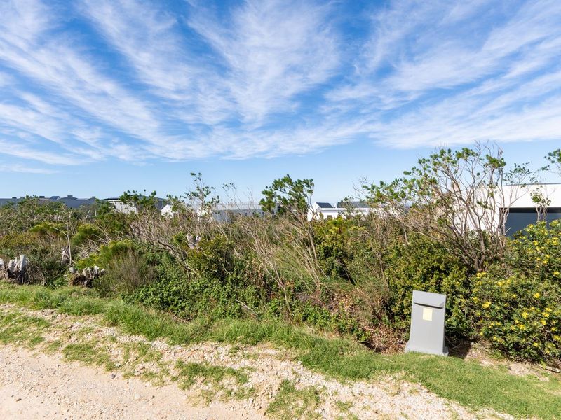One of a few plots left and available in Sunny Seas, Betty's Bay - Photo 1