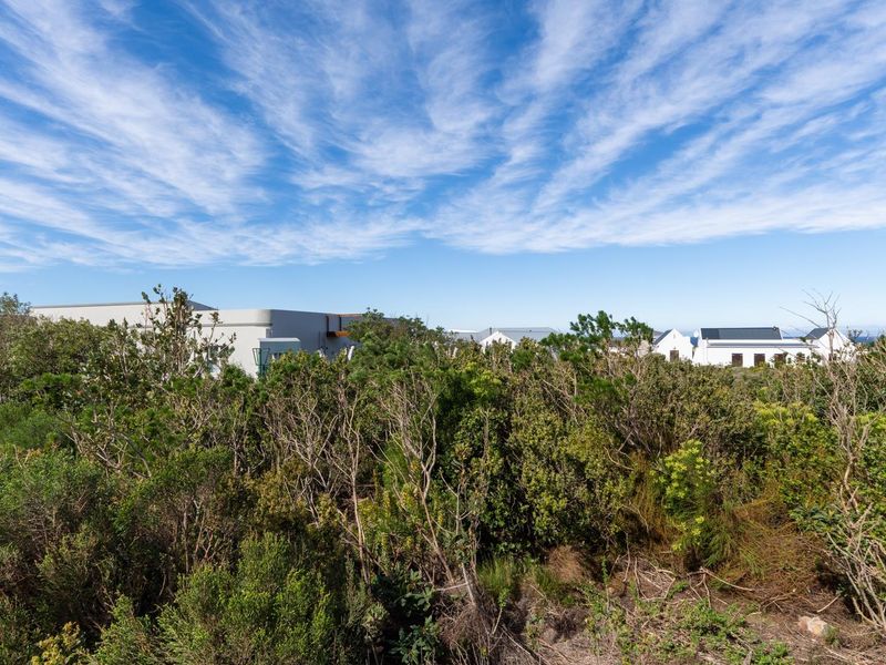 A view of the vacant residential land featuring native coastal vegetation with surrounding residential properties visible in the distance.