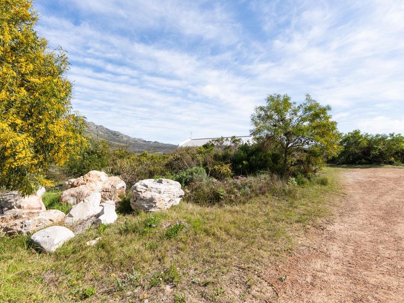 Close to the main road, the R44 and located in Silver Sands area in Betty's Bay - Photo 8