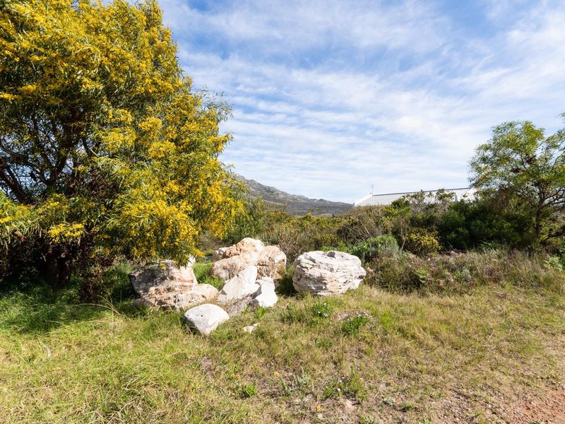 Close to the main road, the R44 and located in Silver Sands area in Betty's Bay - Photo 7