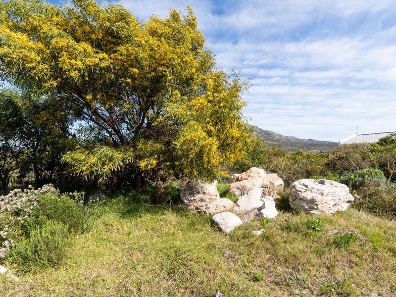 Close to the main road, the R44 and located in Silver Sands area in Betty's Bay - Photo 6