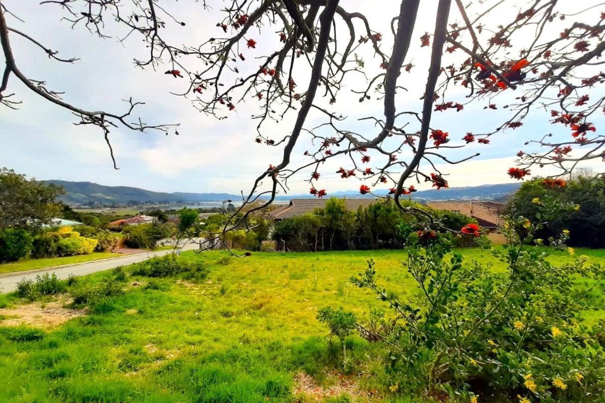 Stunning Lagoon and Sunset View stand in Desirable Rexford - Photo 2