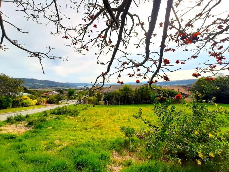 Stunning Lagoon and Sunset View stand in Desirable Rexford - Photo 2