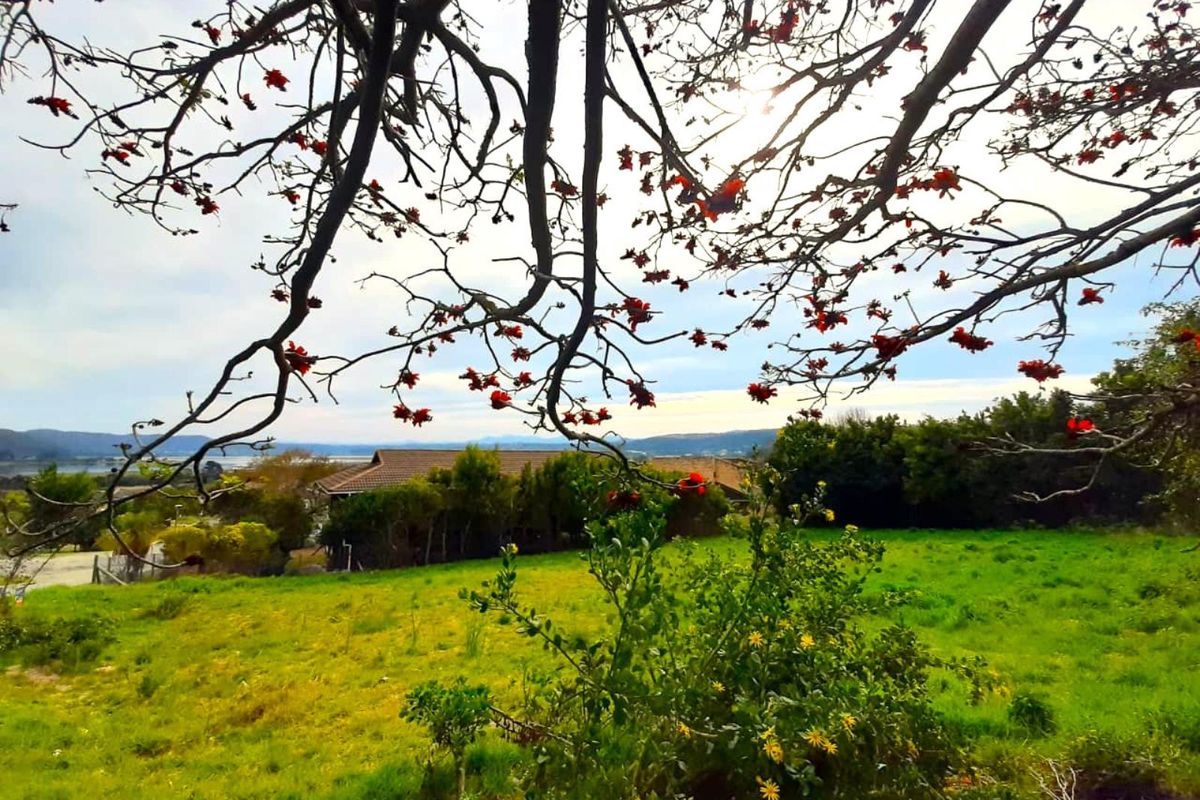 Stunning Lagoon and Sunset View stand in Desirable Rexford - Photo 3