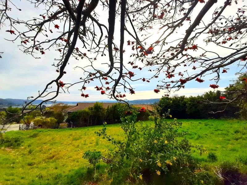 Stunning Lagoon and Sunset View stand in Desirable Rexford - Photo 3