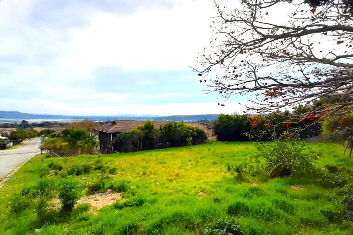 Stunning Lagoon and Sunset View stand in Desirable Rexford - Photo 4