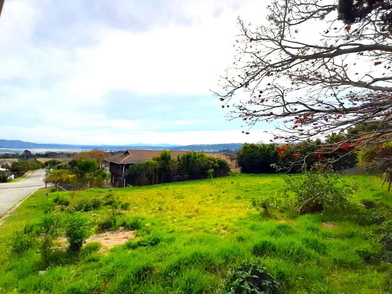 Stunning Lagoon and Sunset View stand in Desirable Rexford - Photo 4