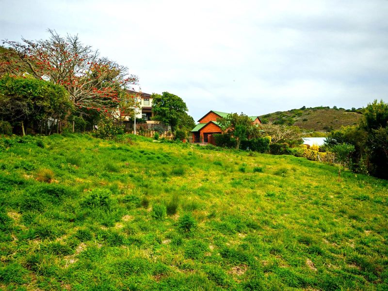 Stunning Lagoon and Sunset View stand in Desirable Rexford - Photo 8