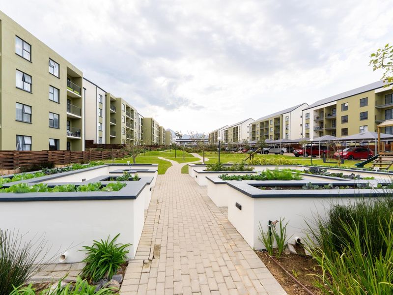 A well-maintained communal garden area featuring raised vegetable beds, a paved central walkway, and landscaped lawns between apartment blocks with covered parking.