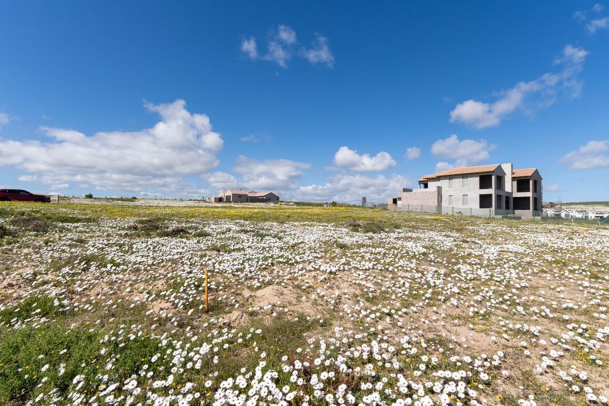 West-Facing Vacant Stand with approved plans - Photo 4